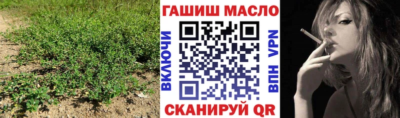 blacksprut как зайти Тында Дистиллят ТГК концентрат