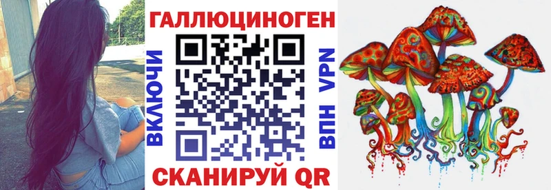 Псилоцибиновые грибы Cubensis Тында